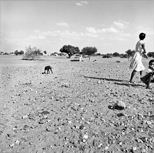  12 Fotografien aus der Werkgruppe "Early Works: West Coast, Namaqualand und Western Cape" 1985